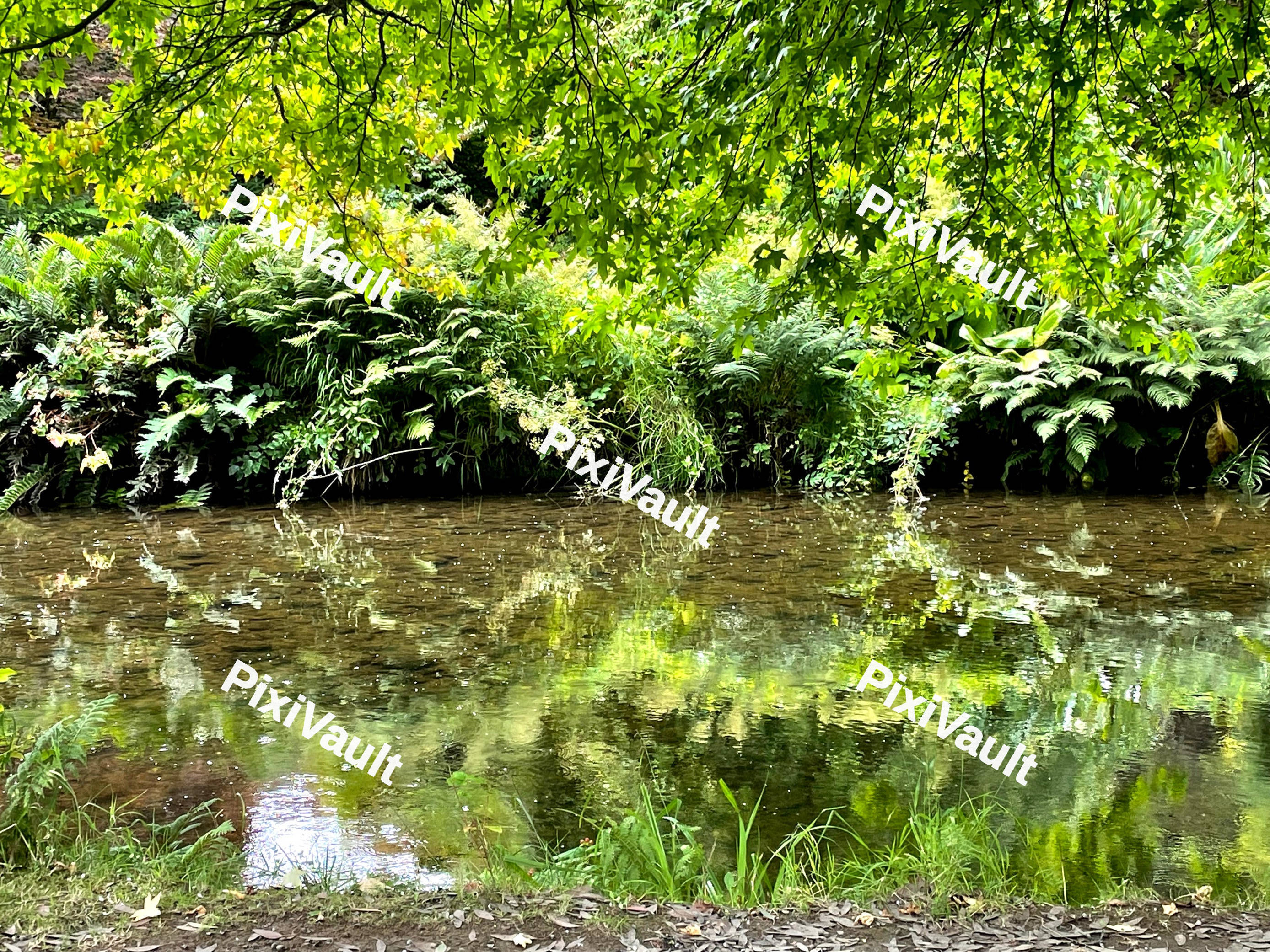 Green Lake